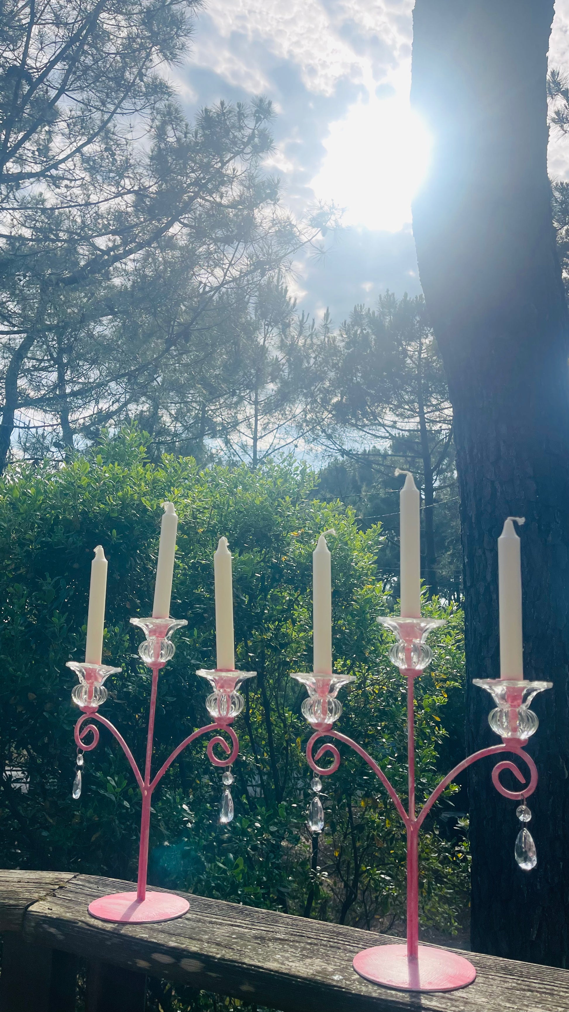 VENDU - Parures d'Églantine