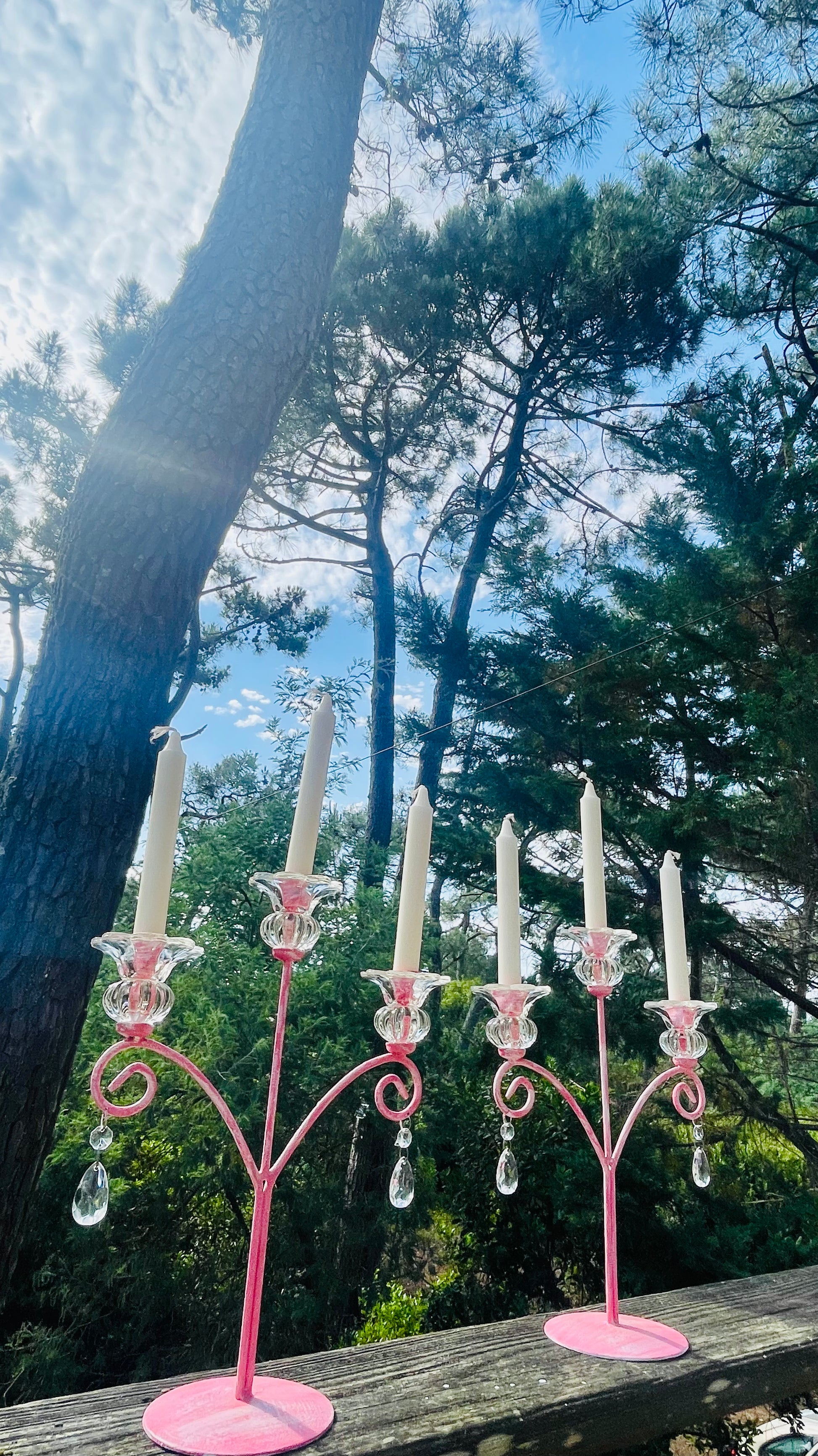 VENDU - Parures d'Églantine