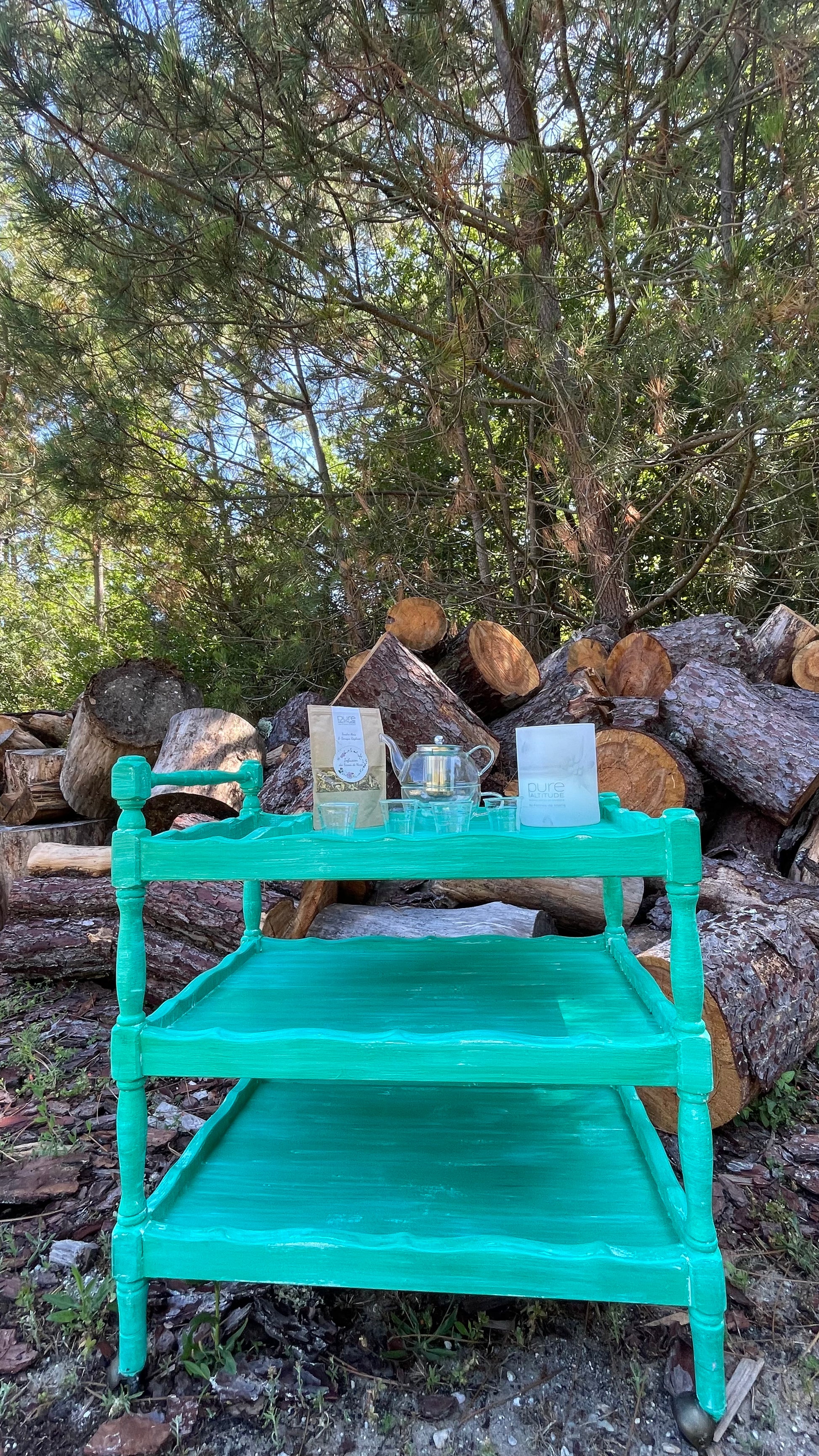 Le chariot de Camille