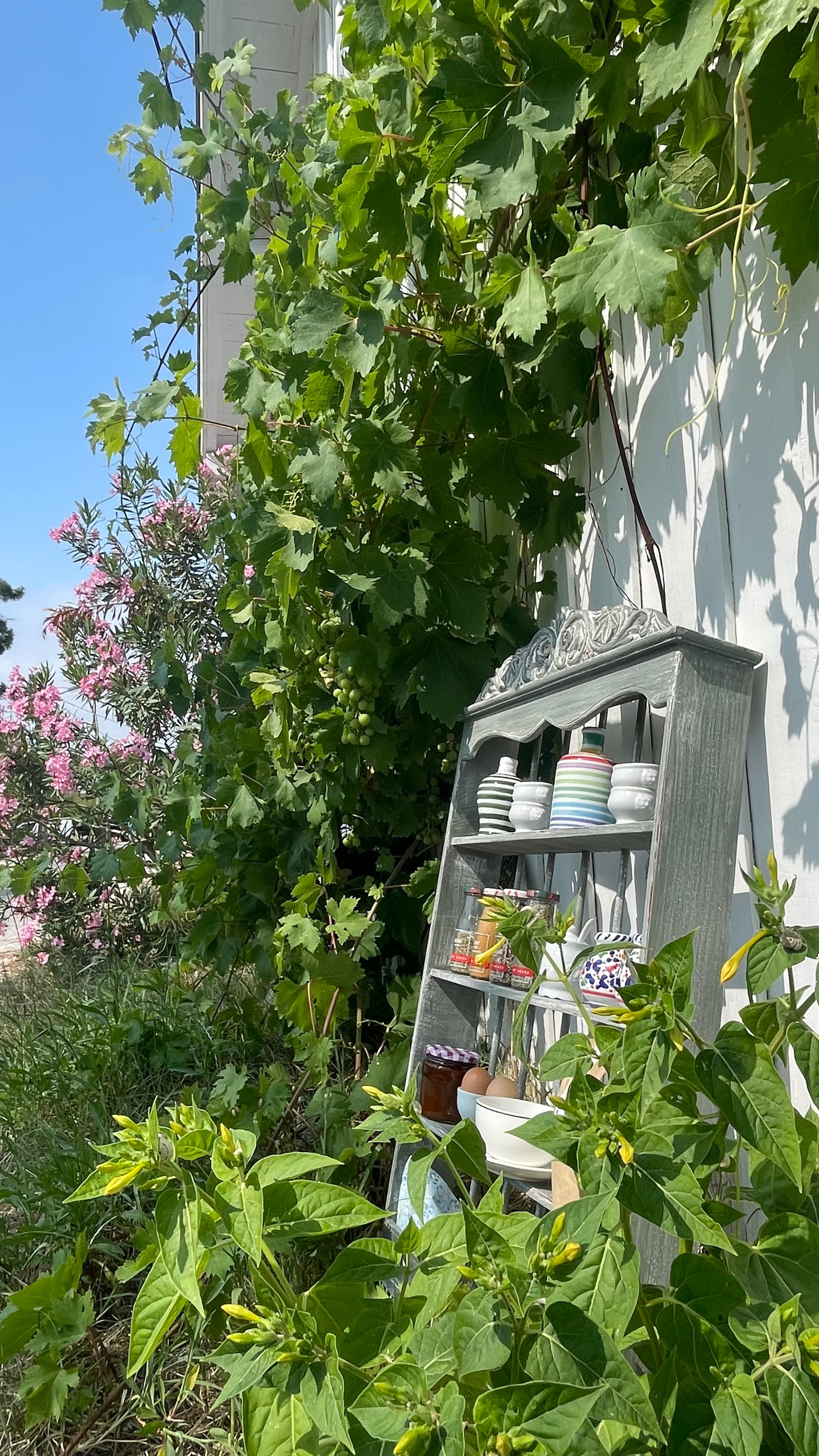 l'Étagère provençale