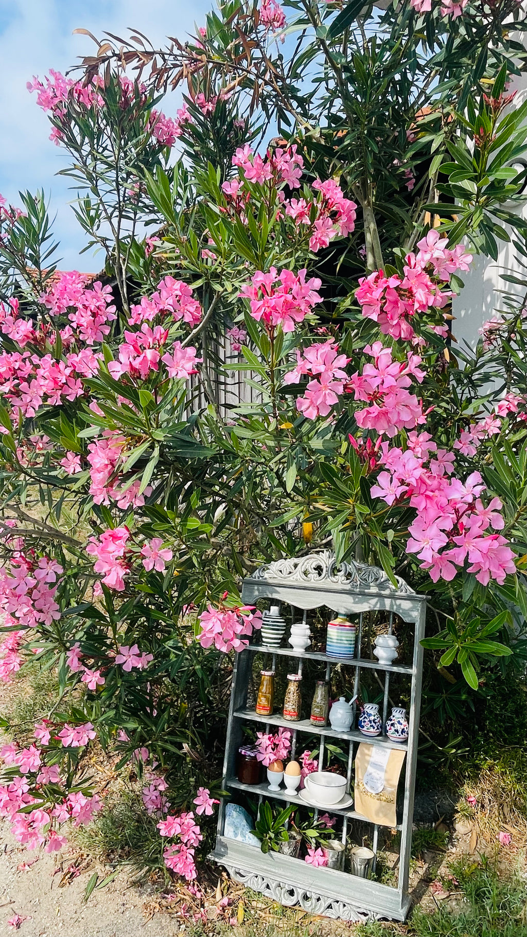 l'Étagère provençale