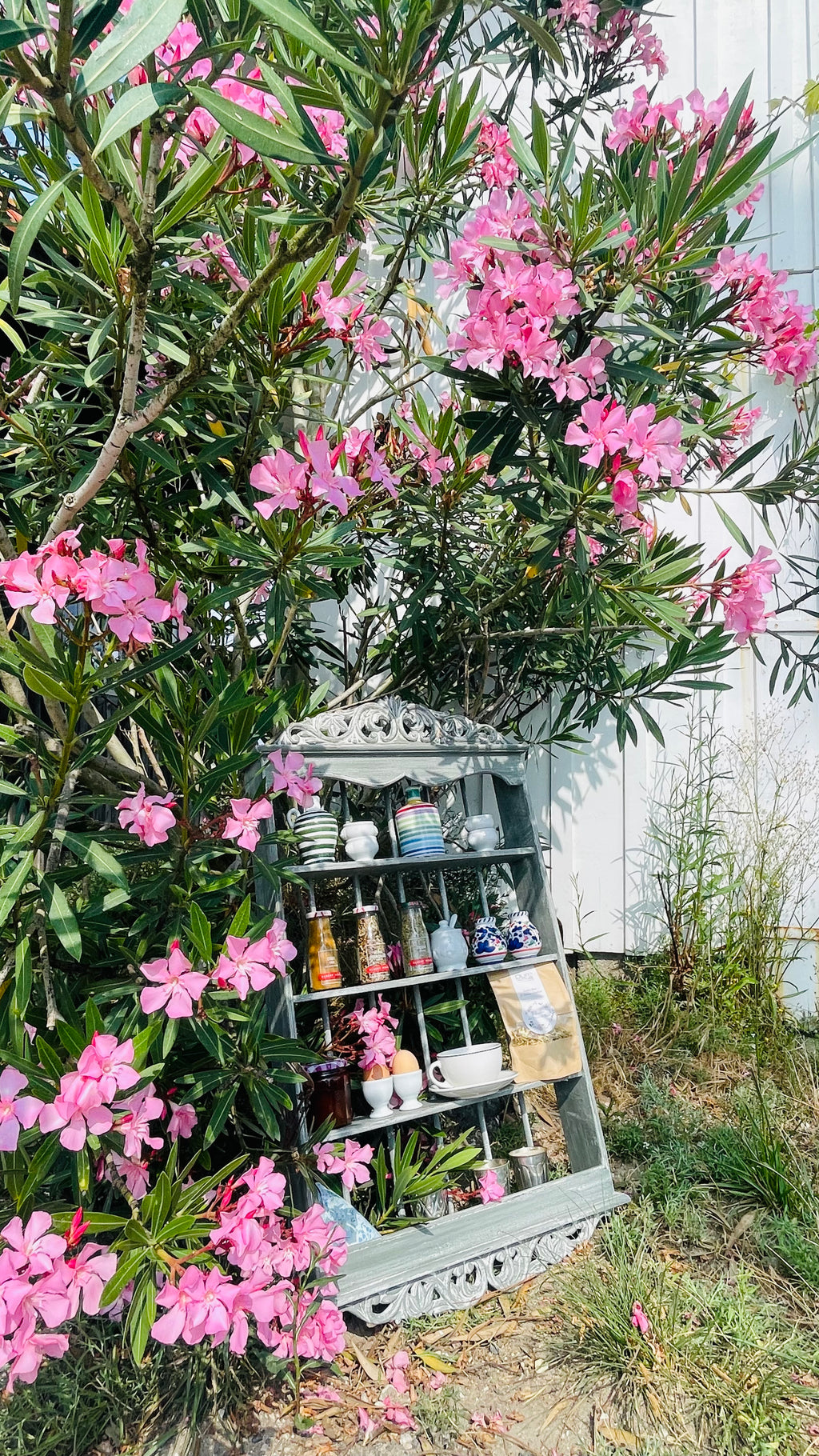 l'Étagère provençale