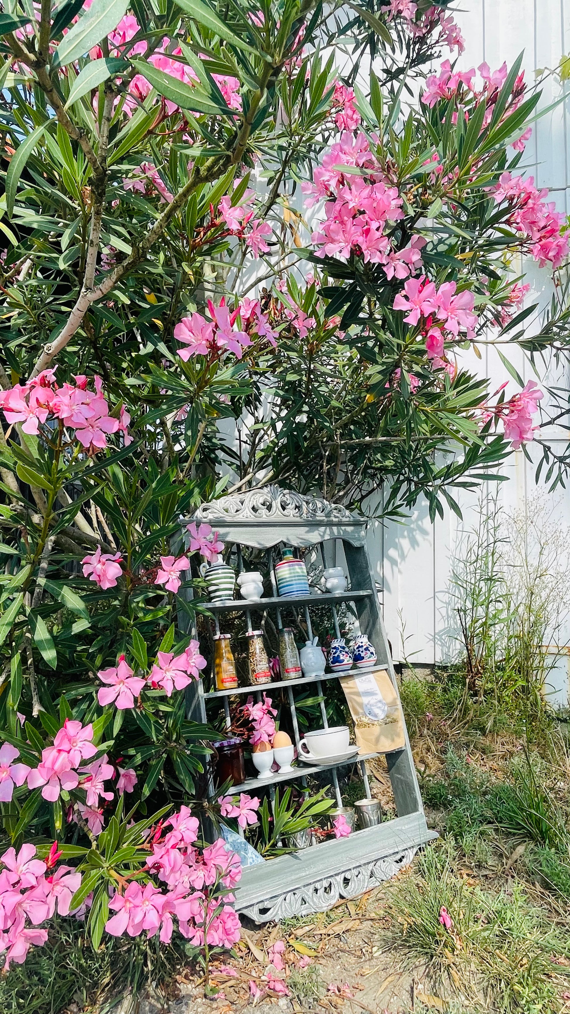 l'Étagère provençale