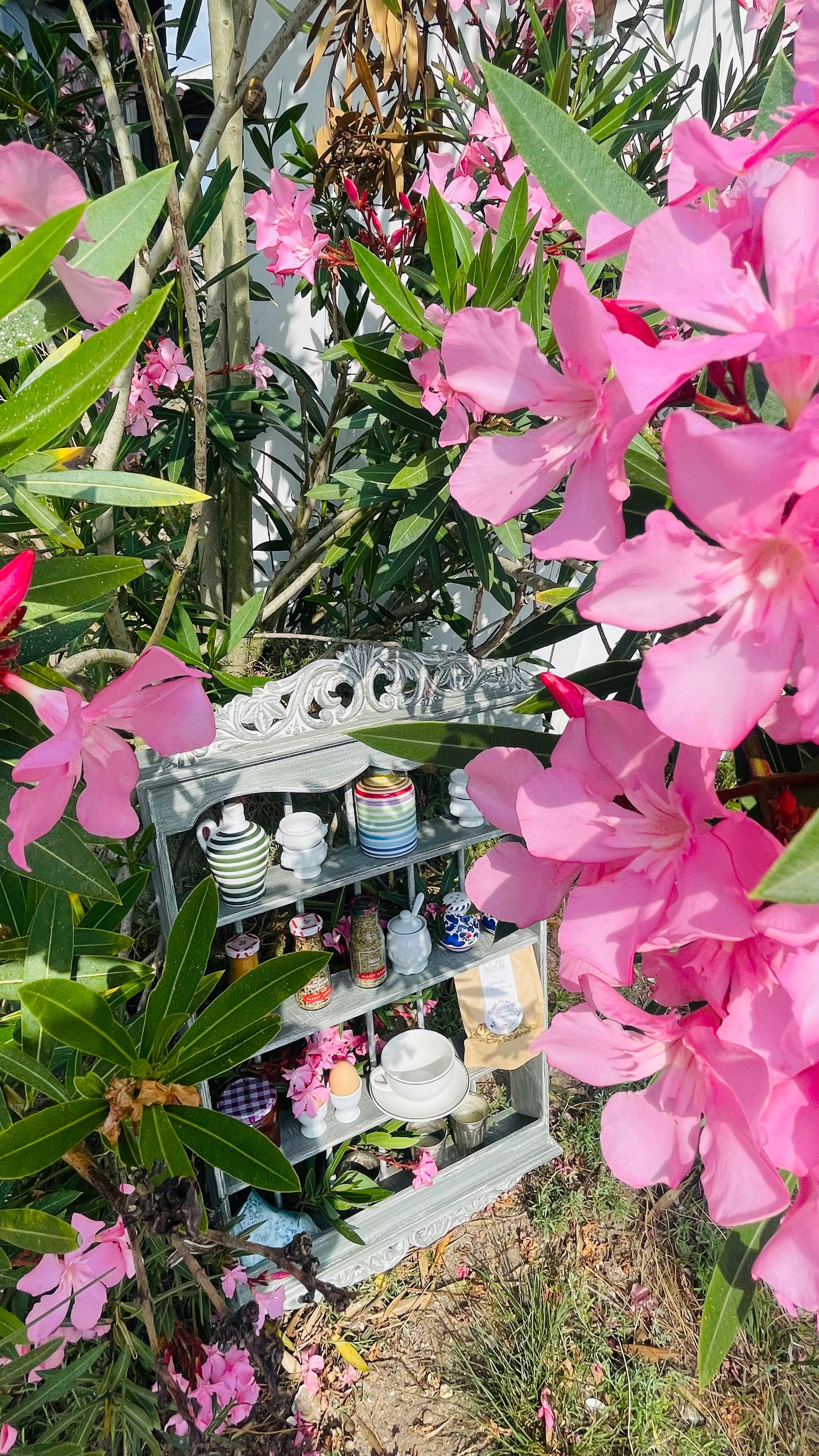 l'Étagère provençale