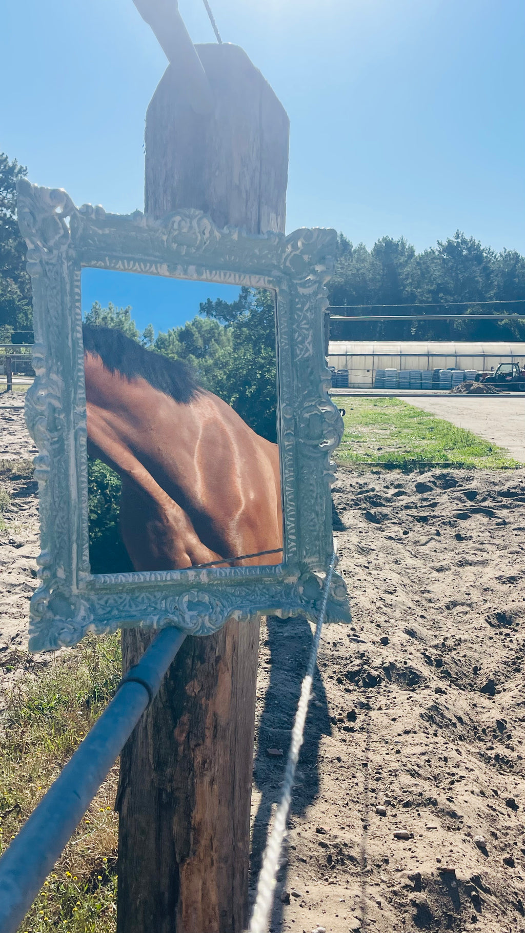 Miroir Au galop des rêves