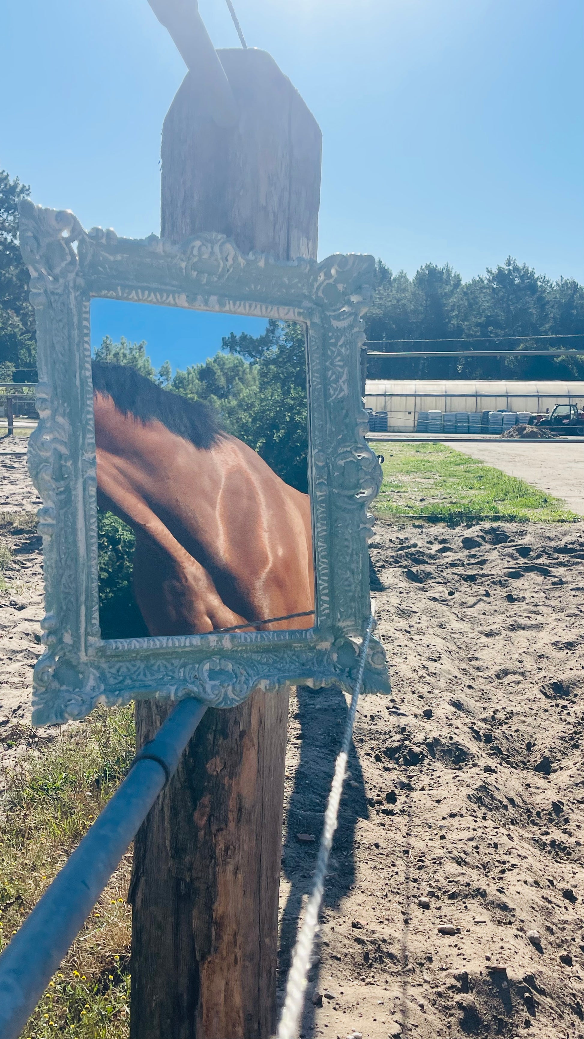 Miroir Au galop des rêves