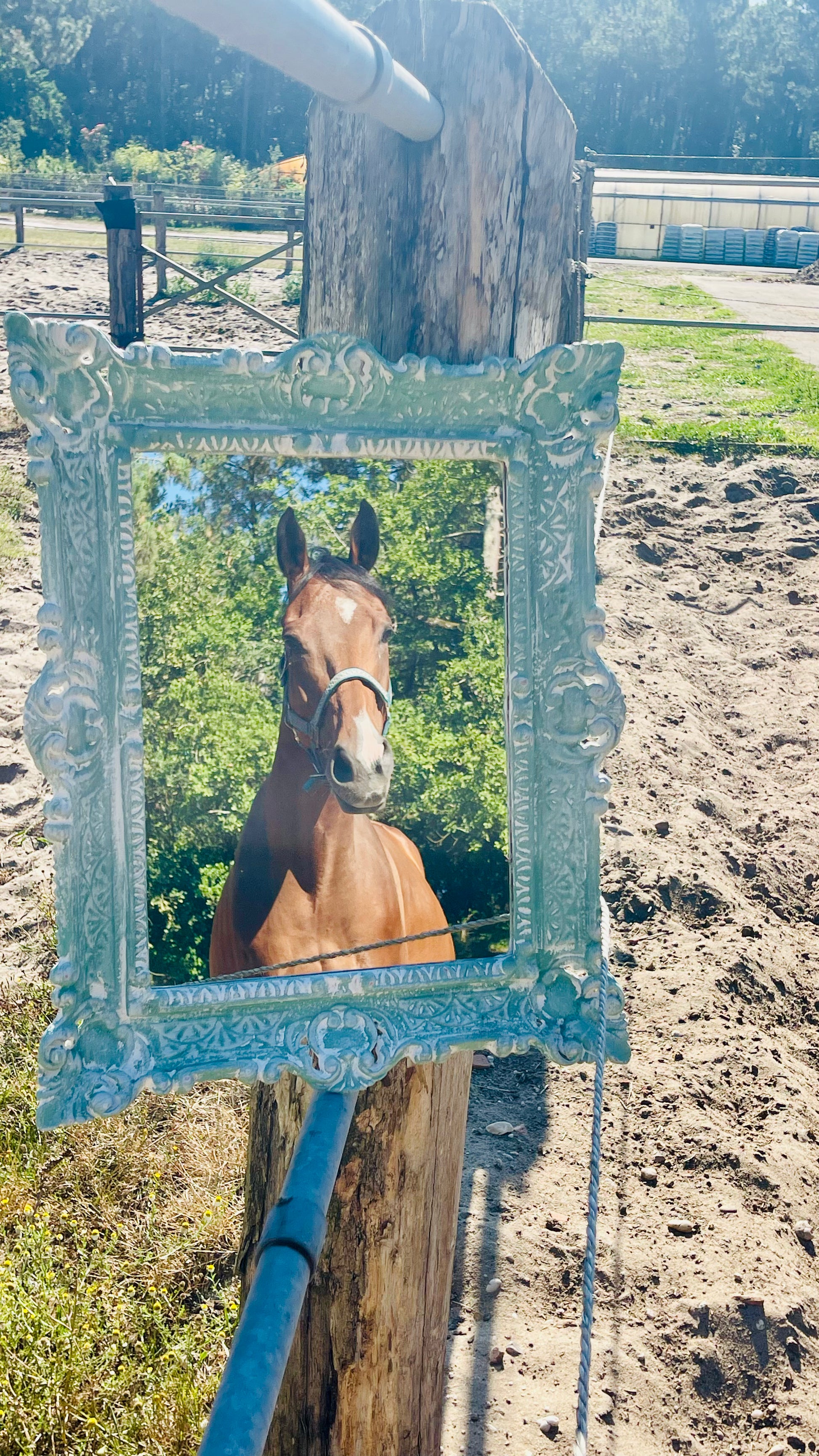 Miroir Au galop des rêves