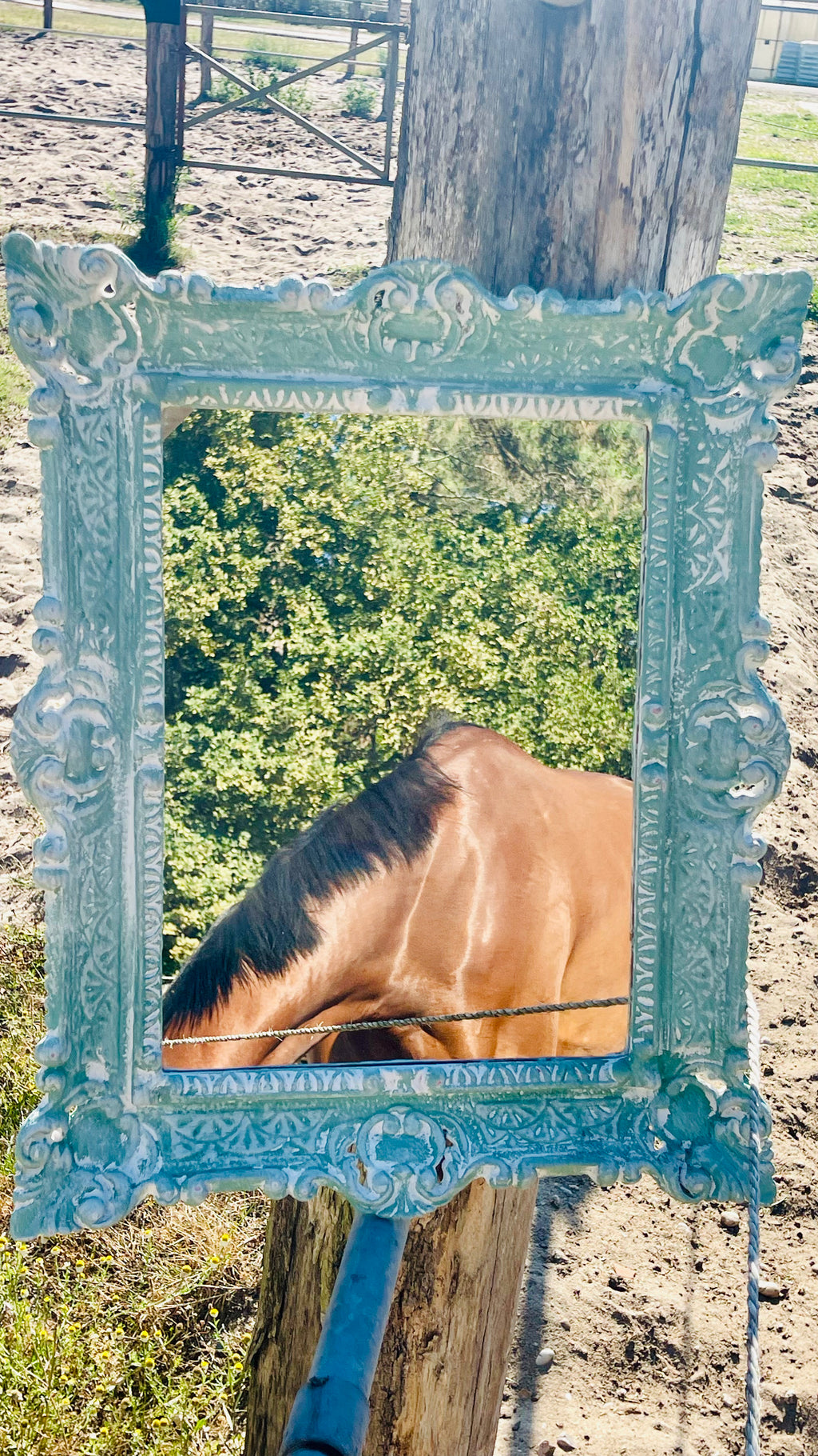 Miroir Au galop des rêves
