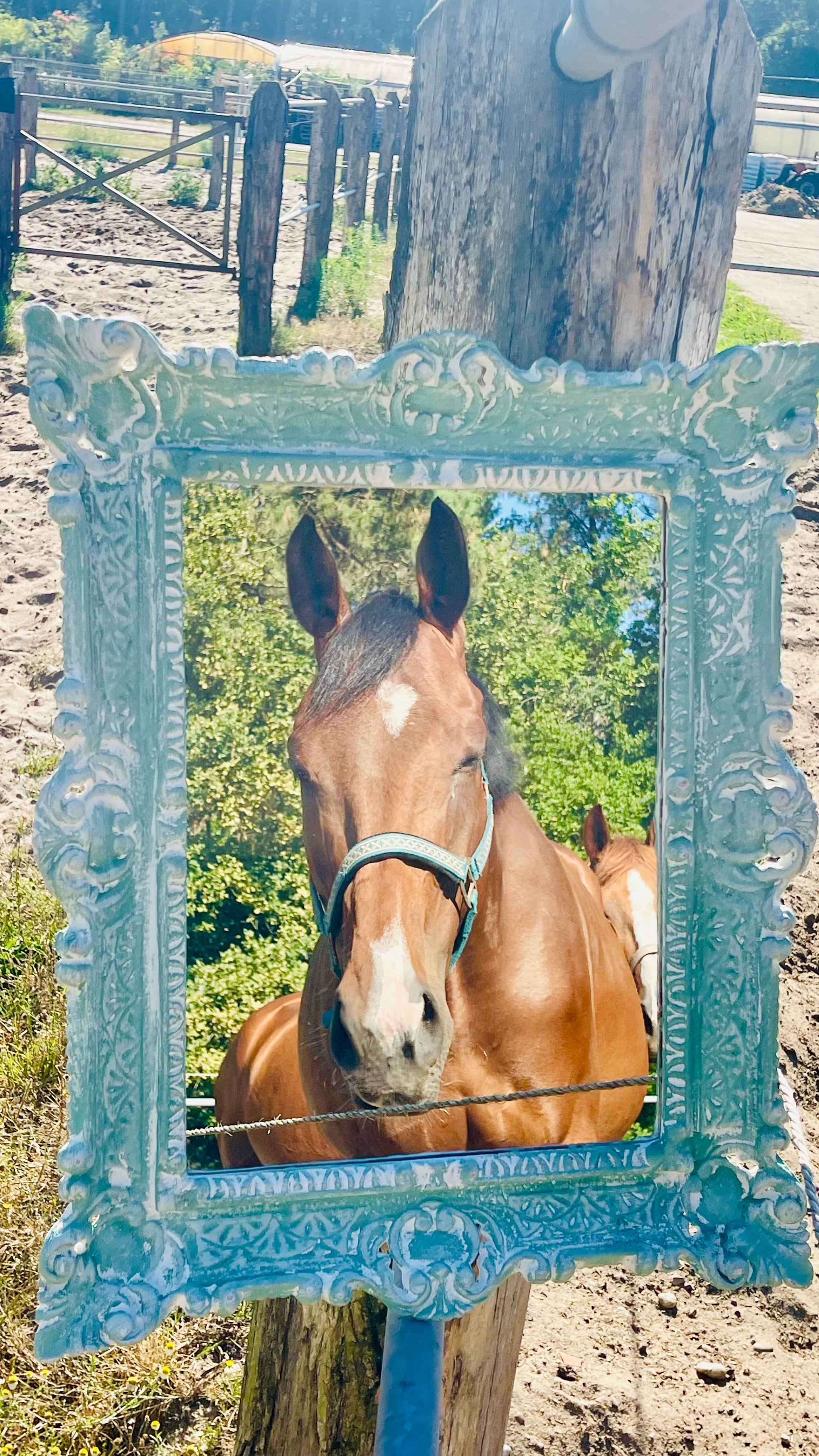 Miroir Au galop des rêves