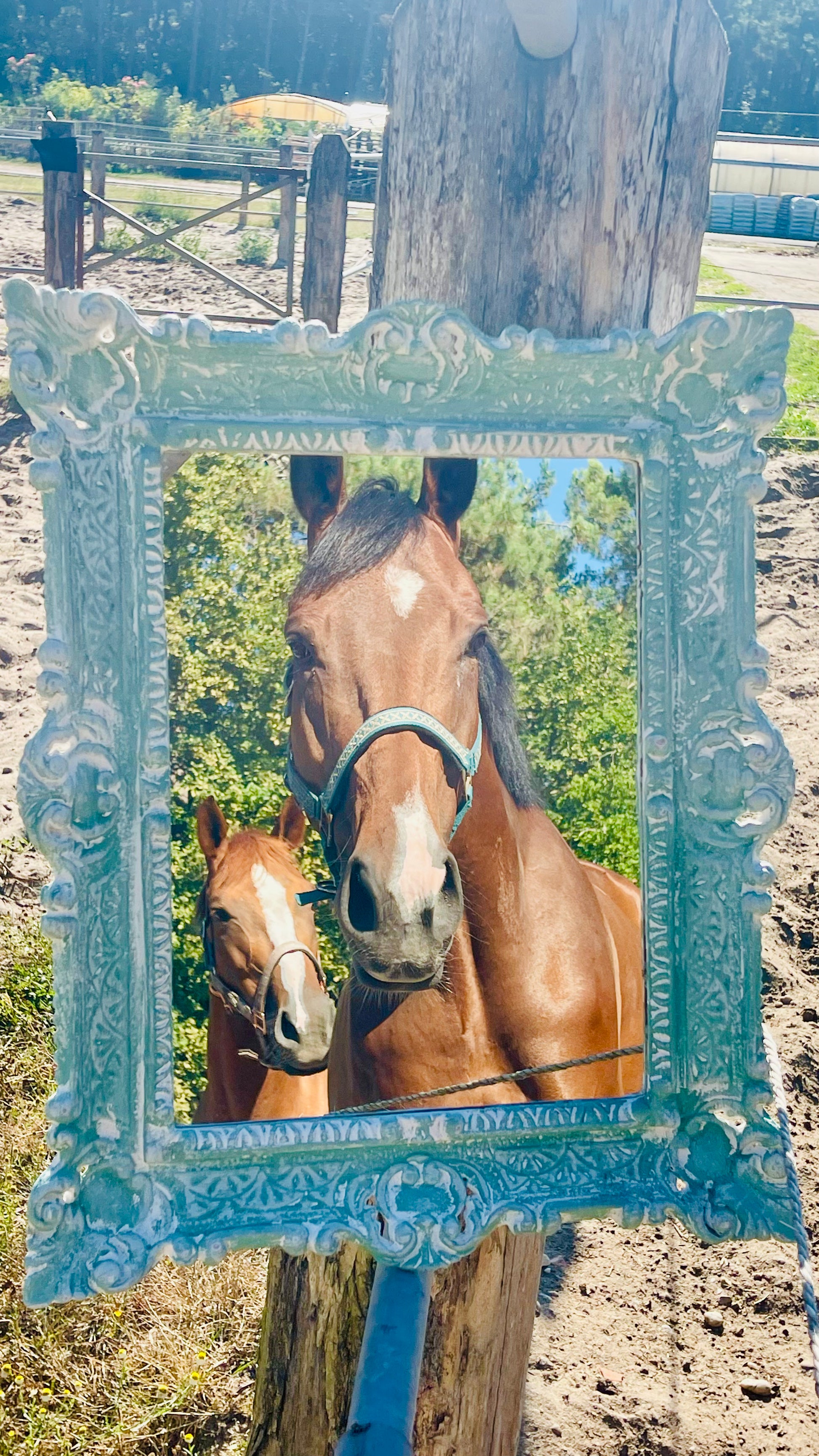 Miroir Au galop des rêves