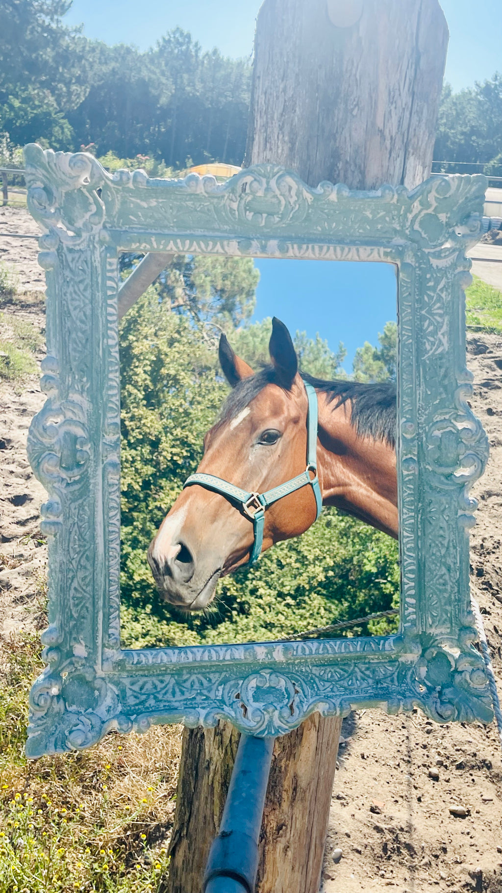 Miroir Au galop des rêves