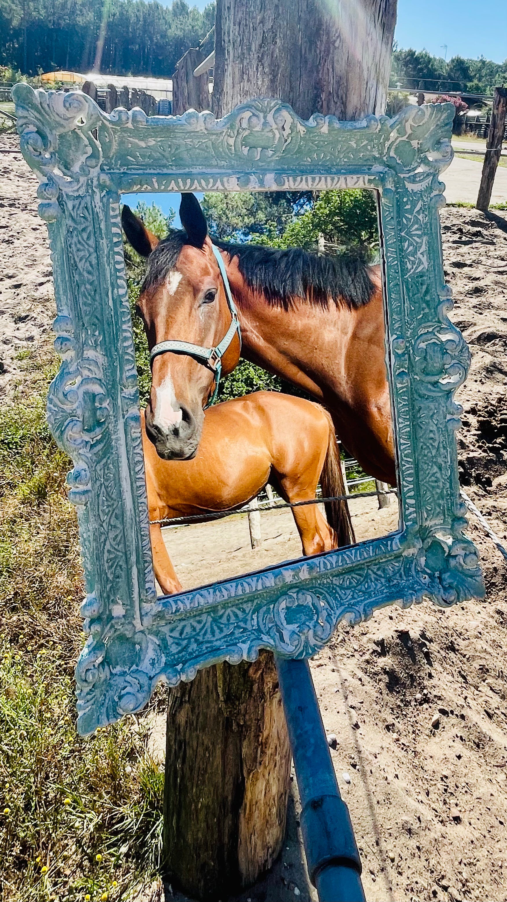 Miroir Au galop des rêves