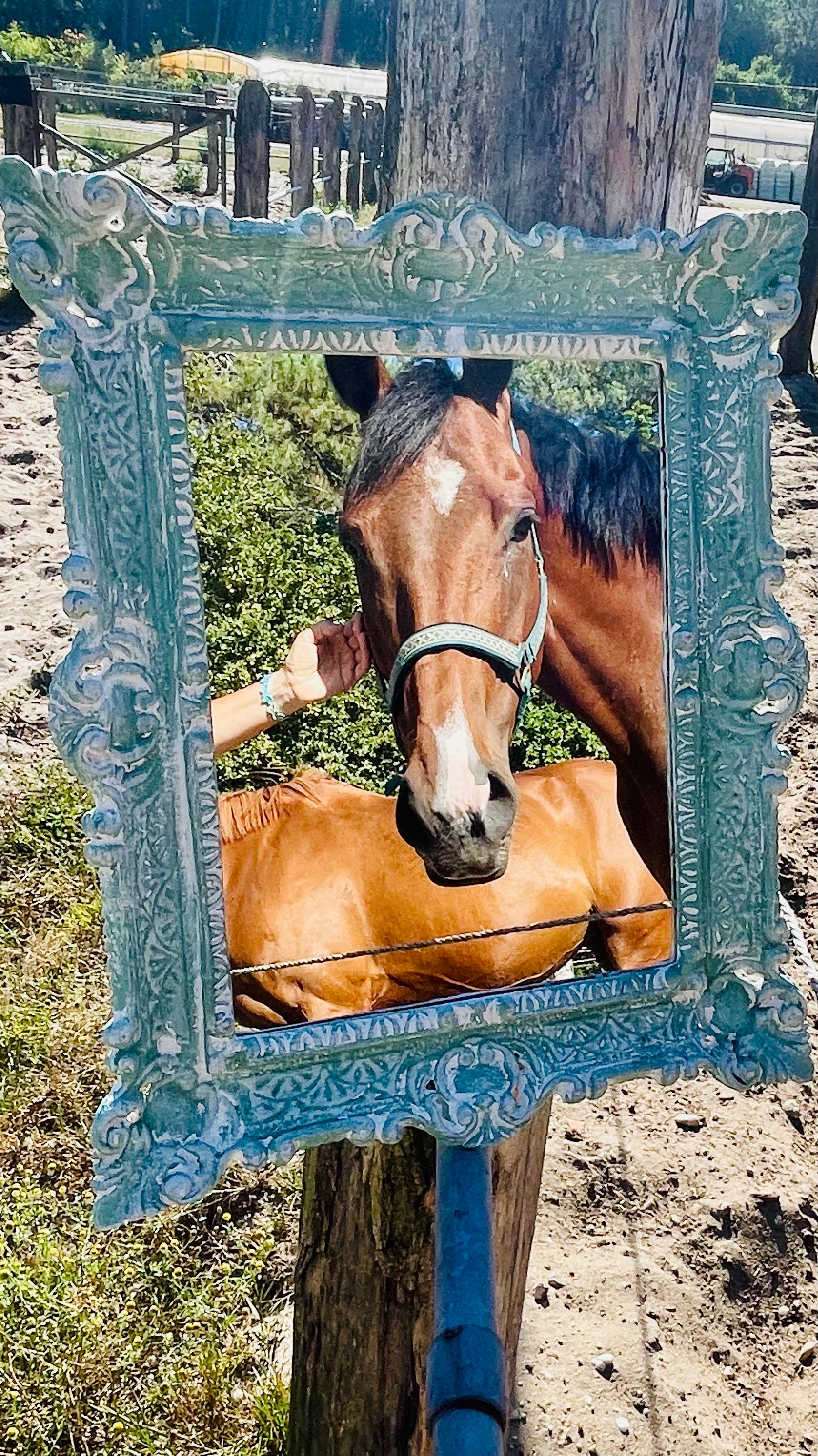 Miroir Au galop des rêves