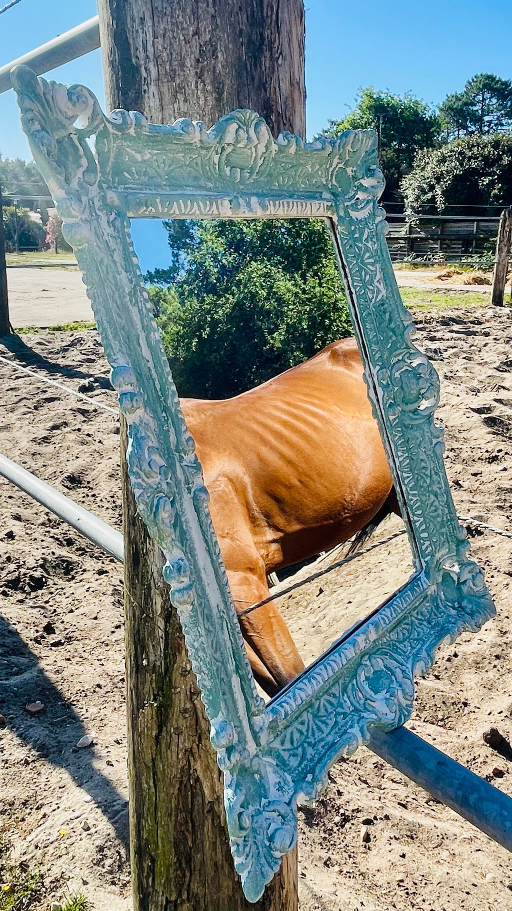 Miroir Au galop des rêves