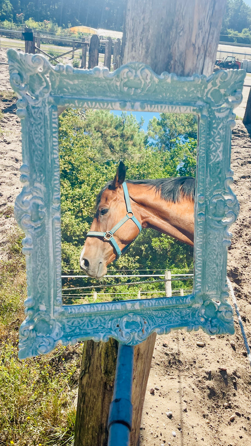 Miroir Au galop des rêves