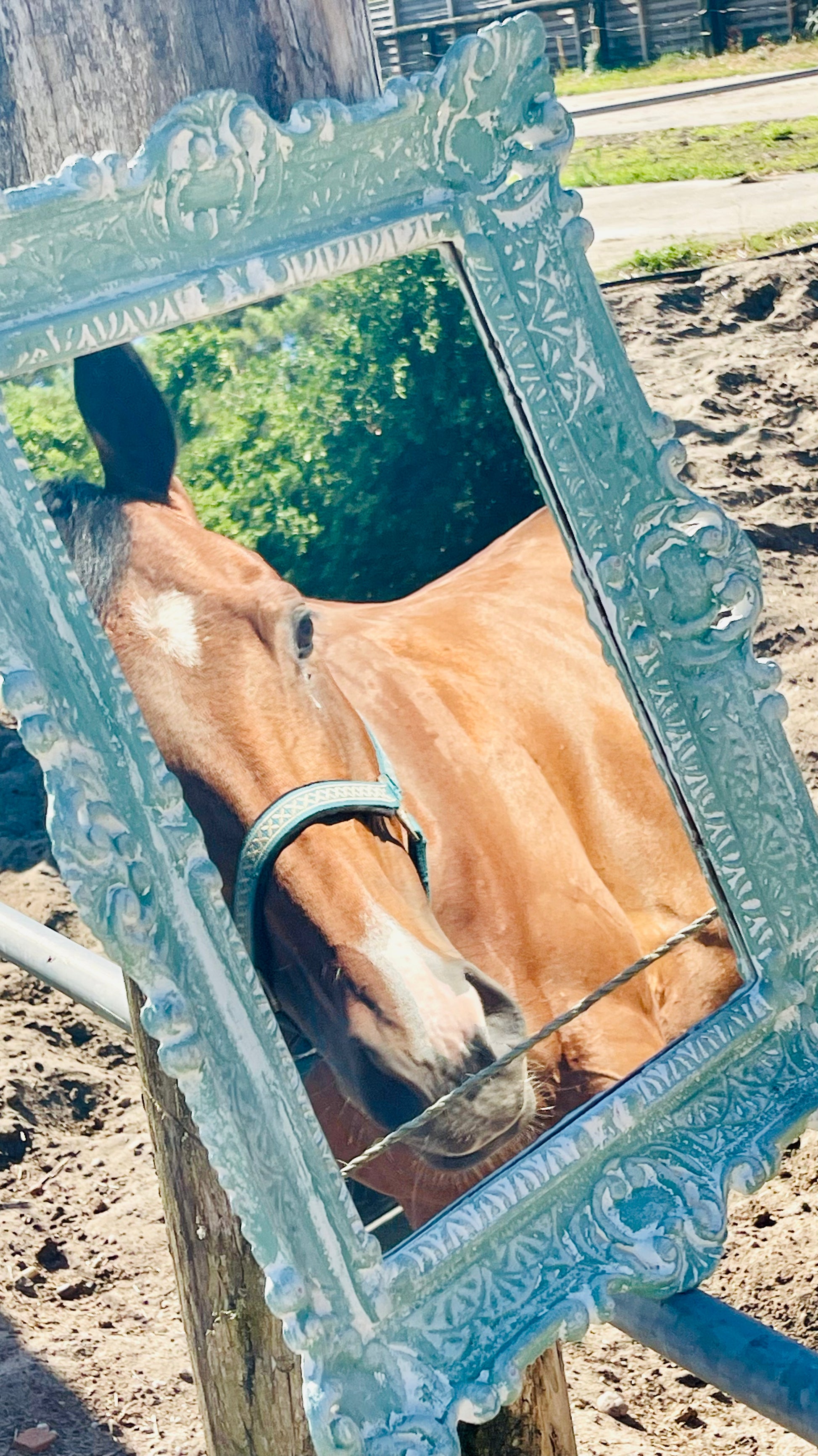 Miroir Au galop des rêves