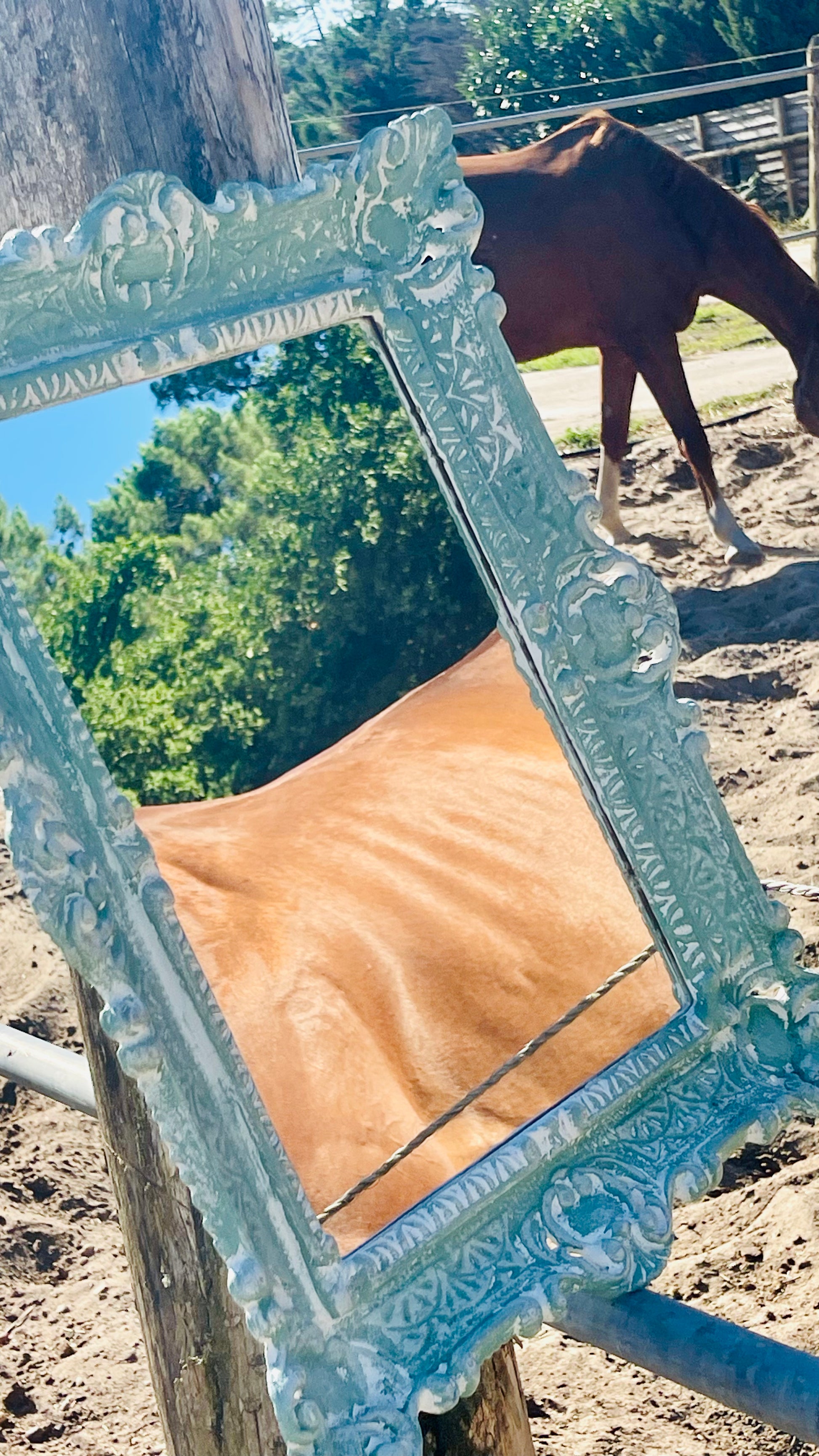 Miroir Au galop des rêves