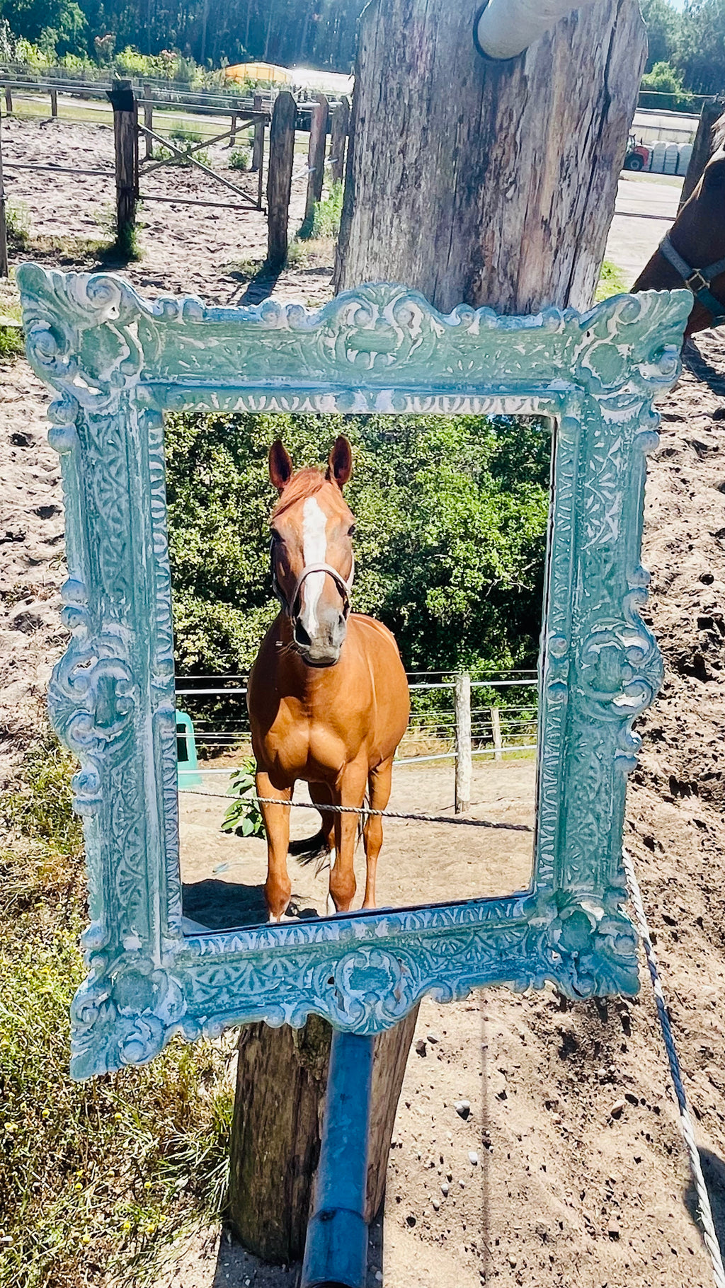 Miroir Au galop des rêves