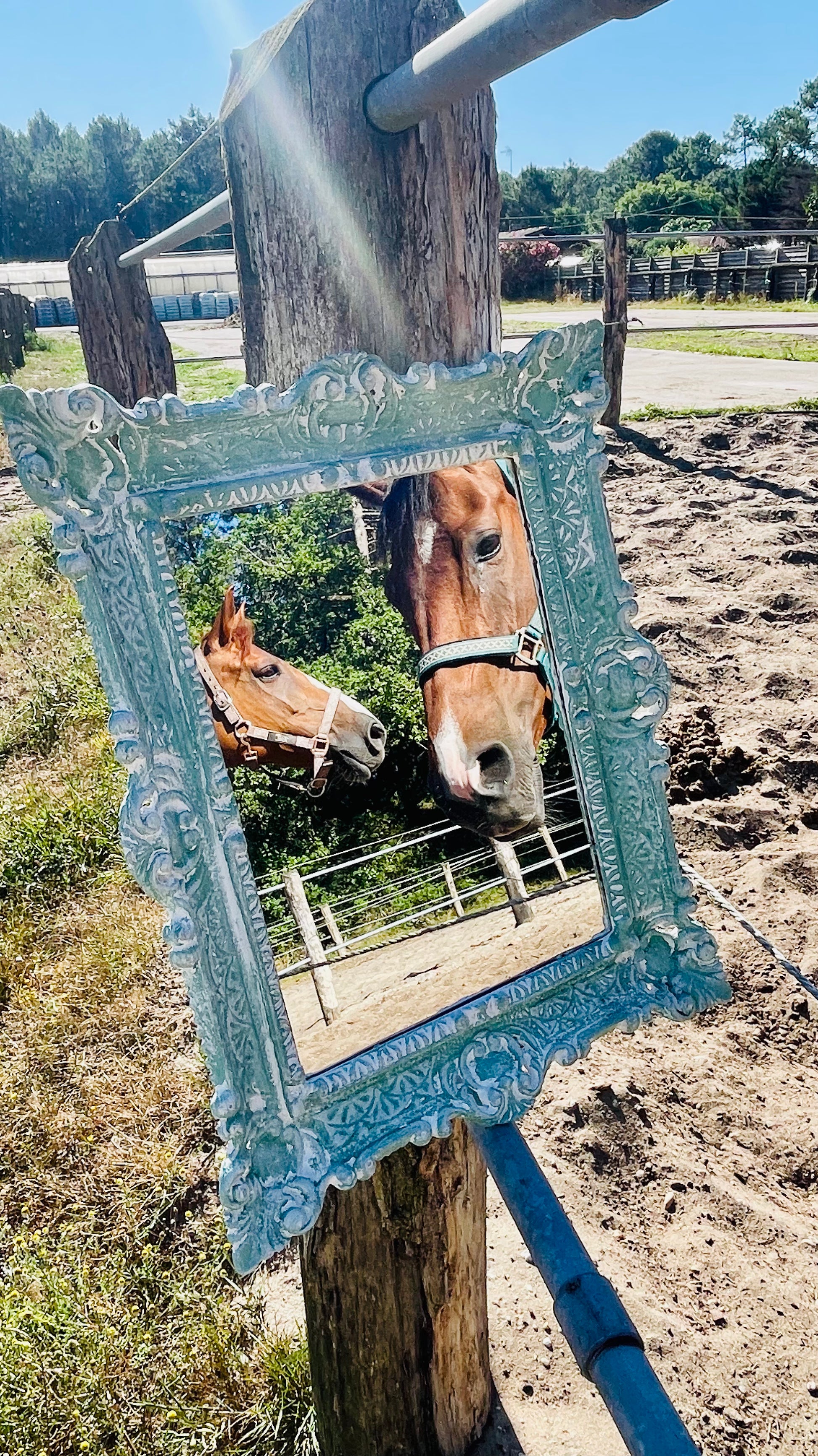 Miroir Au galop des rêves