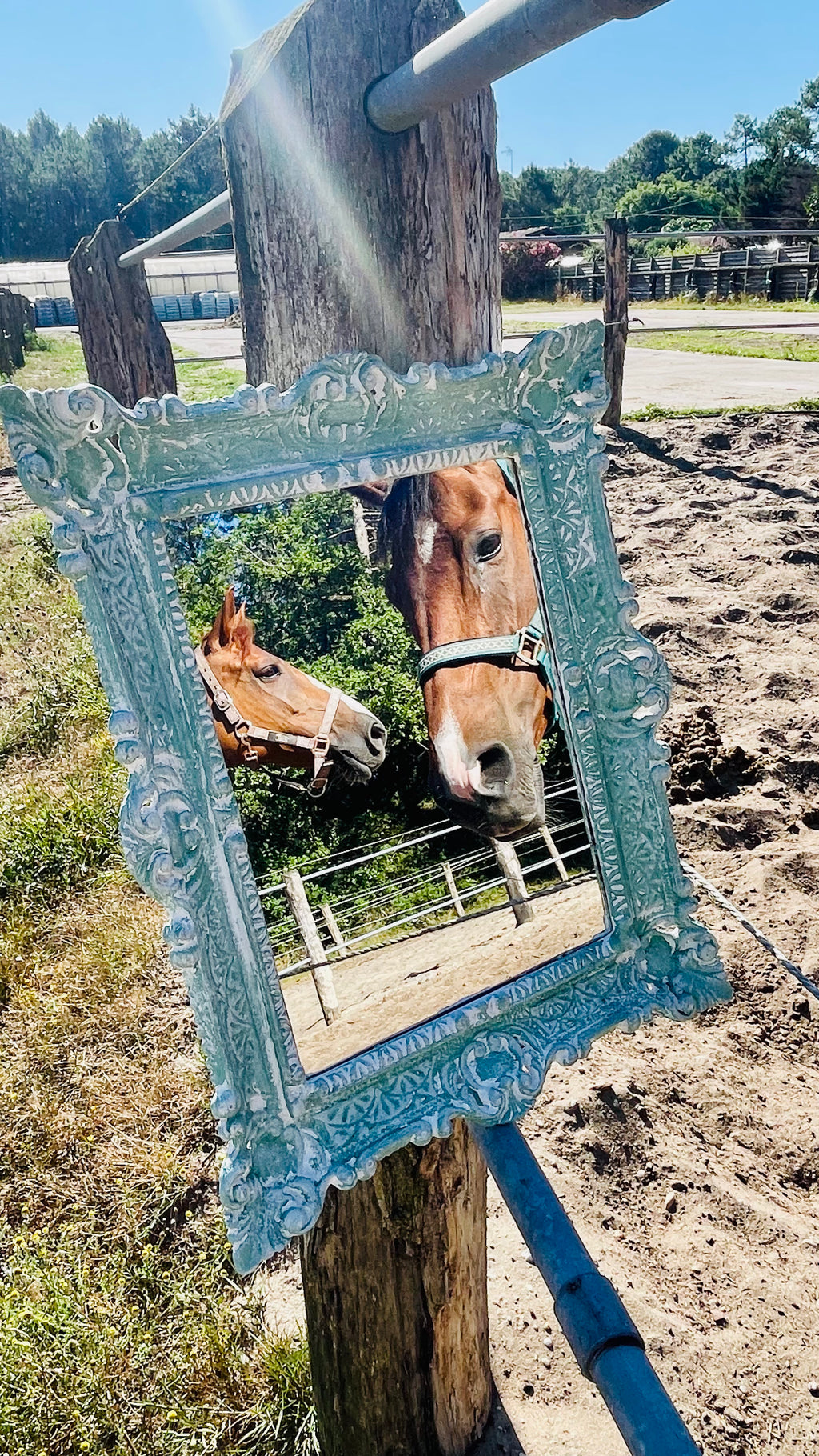 Miroir Au galop des rêves