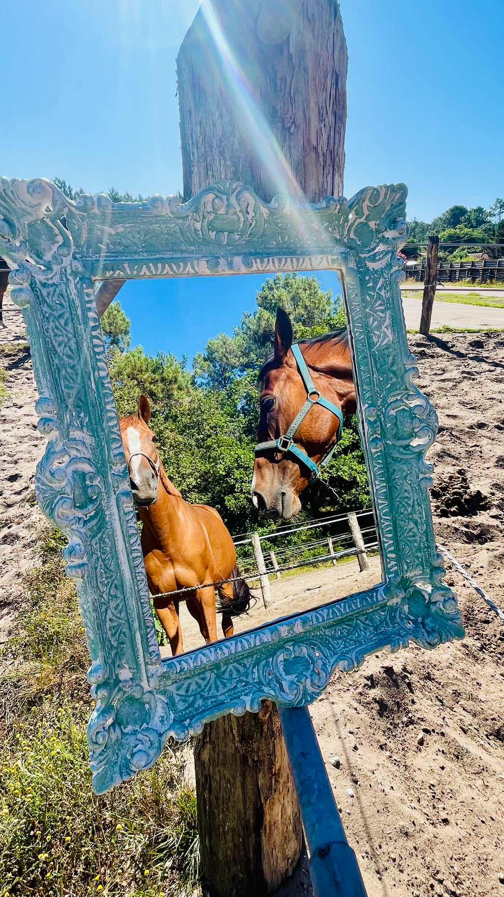 Miroir Au galop des rêves