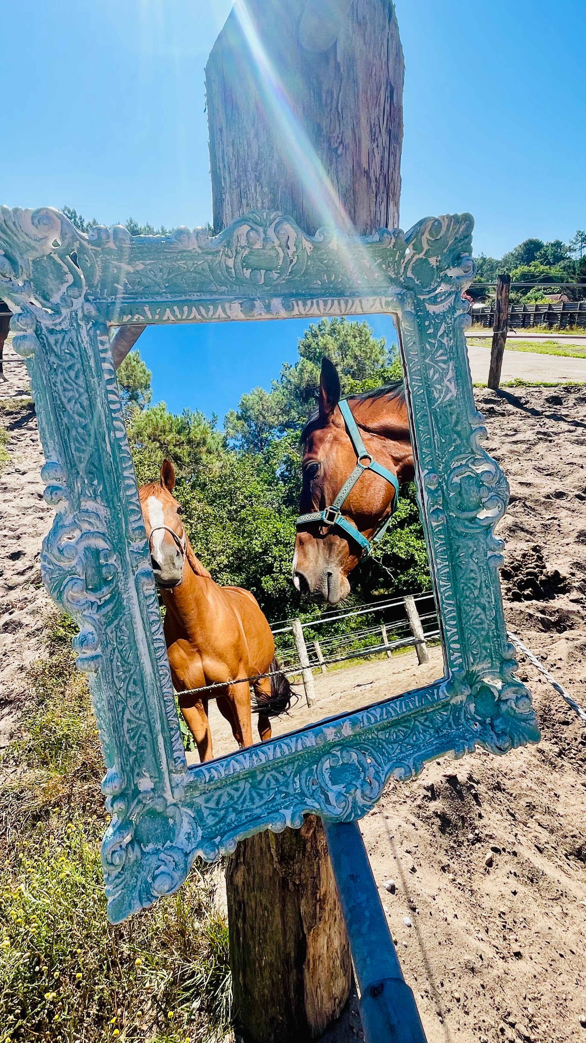 Miroir Au galop des rêves