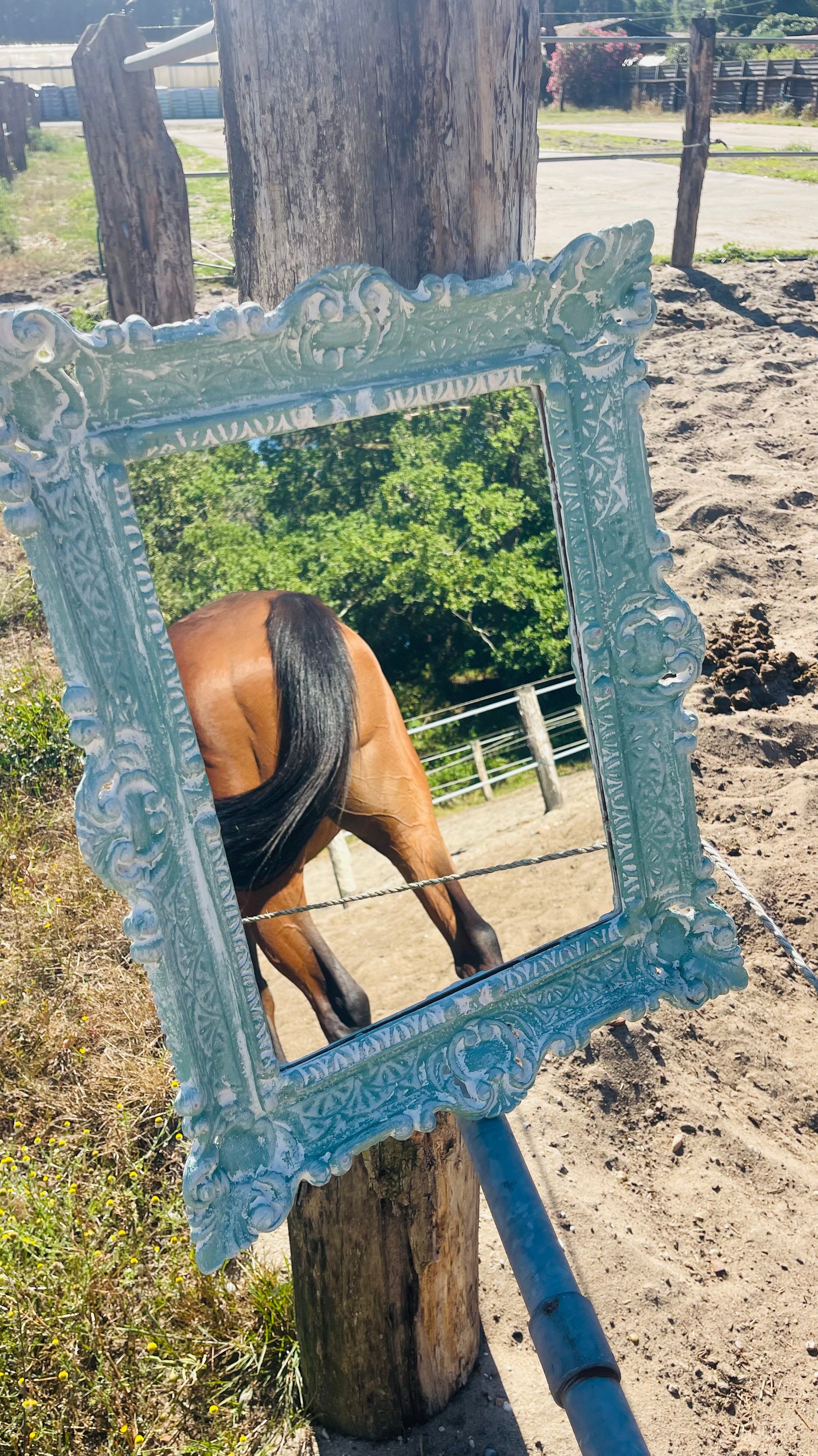 Miroir Au galop des rêves