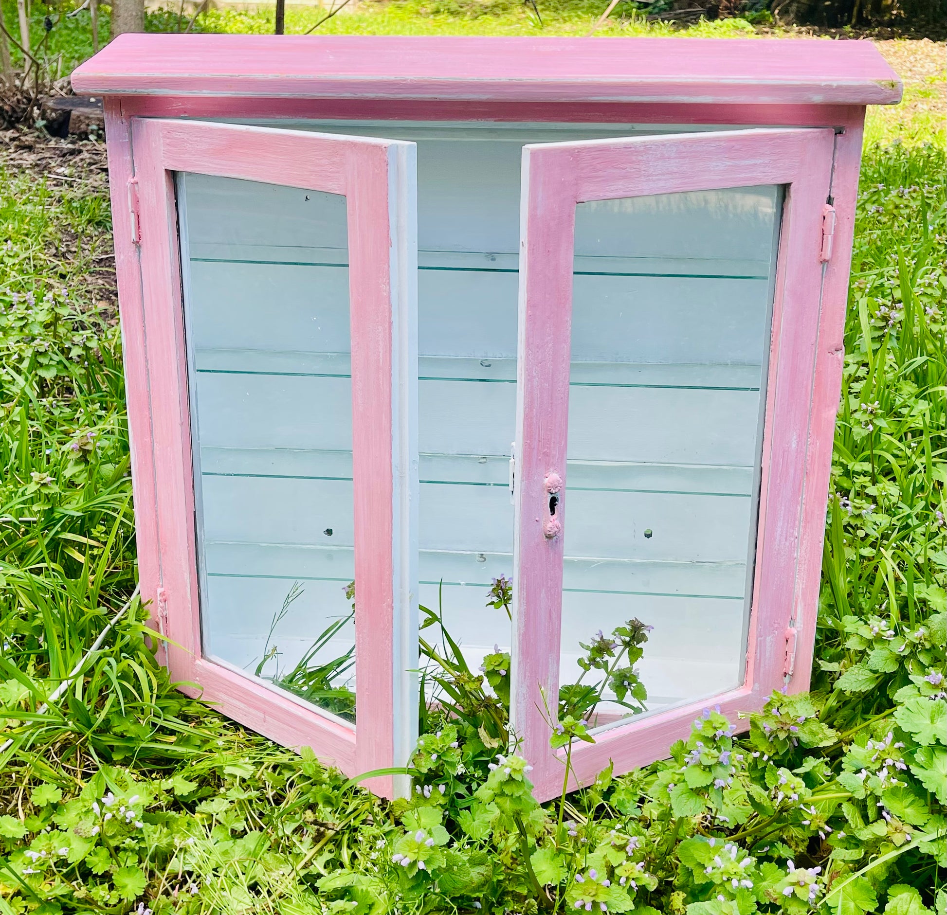 VENDU - Vitrine des Merveilles