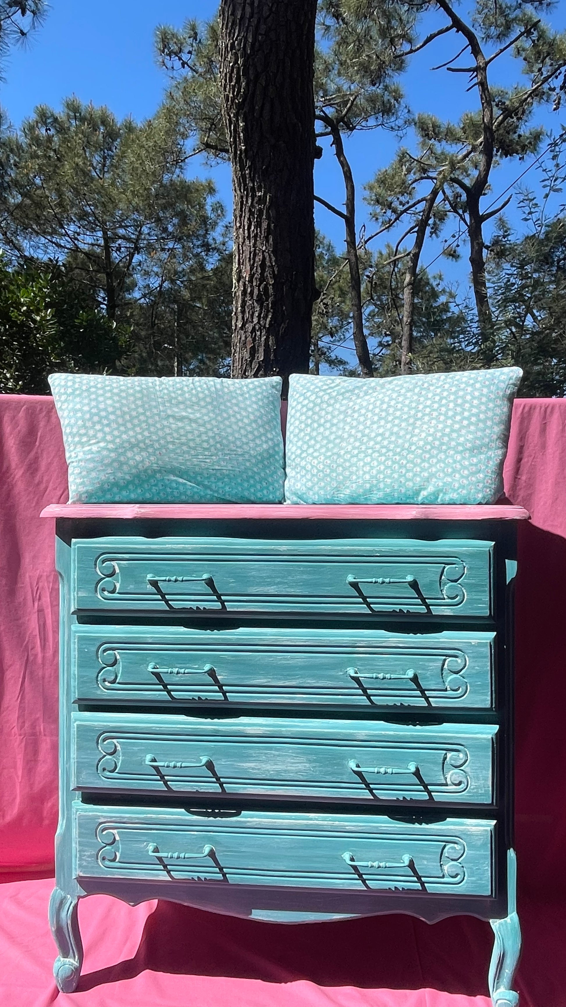 Commode Saint-Etienne-du-Grès