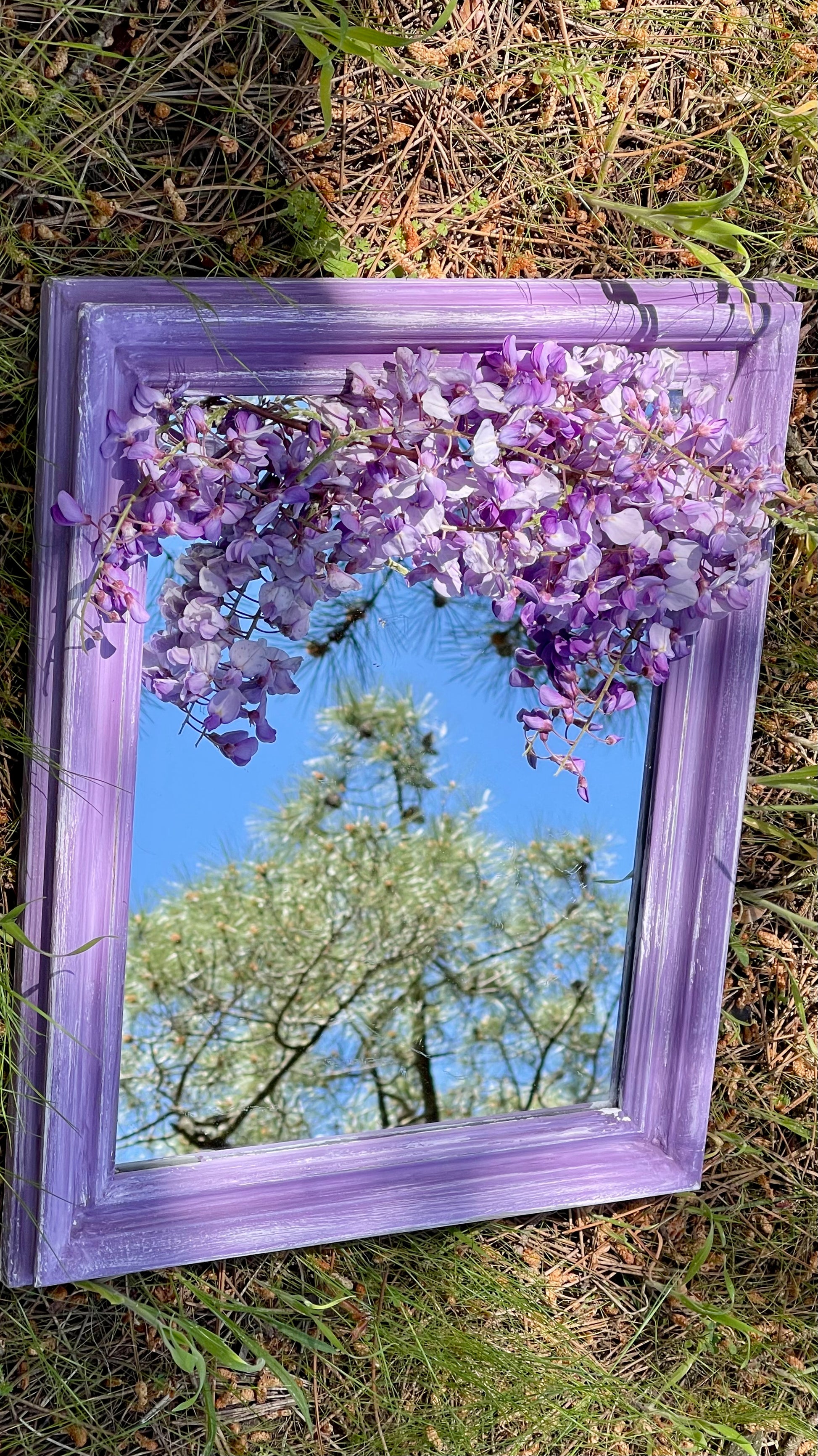 Miroir brume de glycine