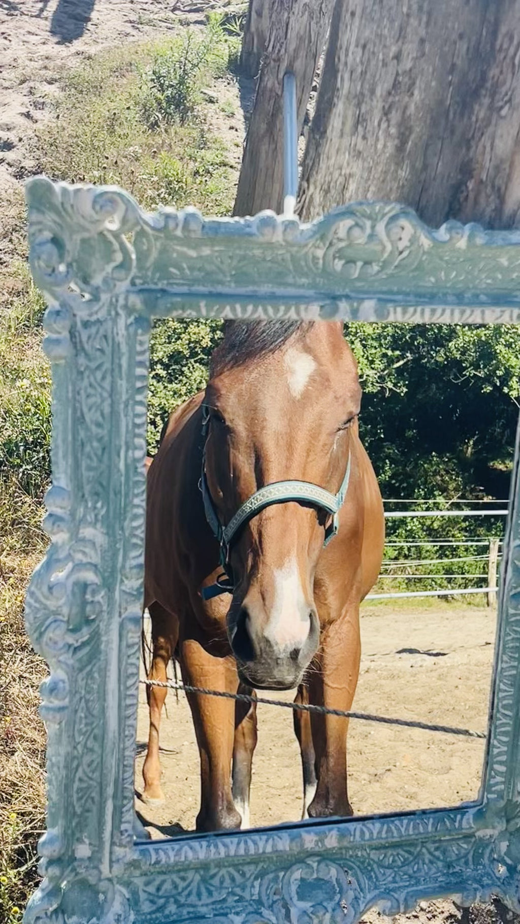 Miroir Au galop des rêves