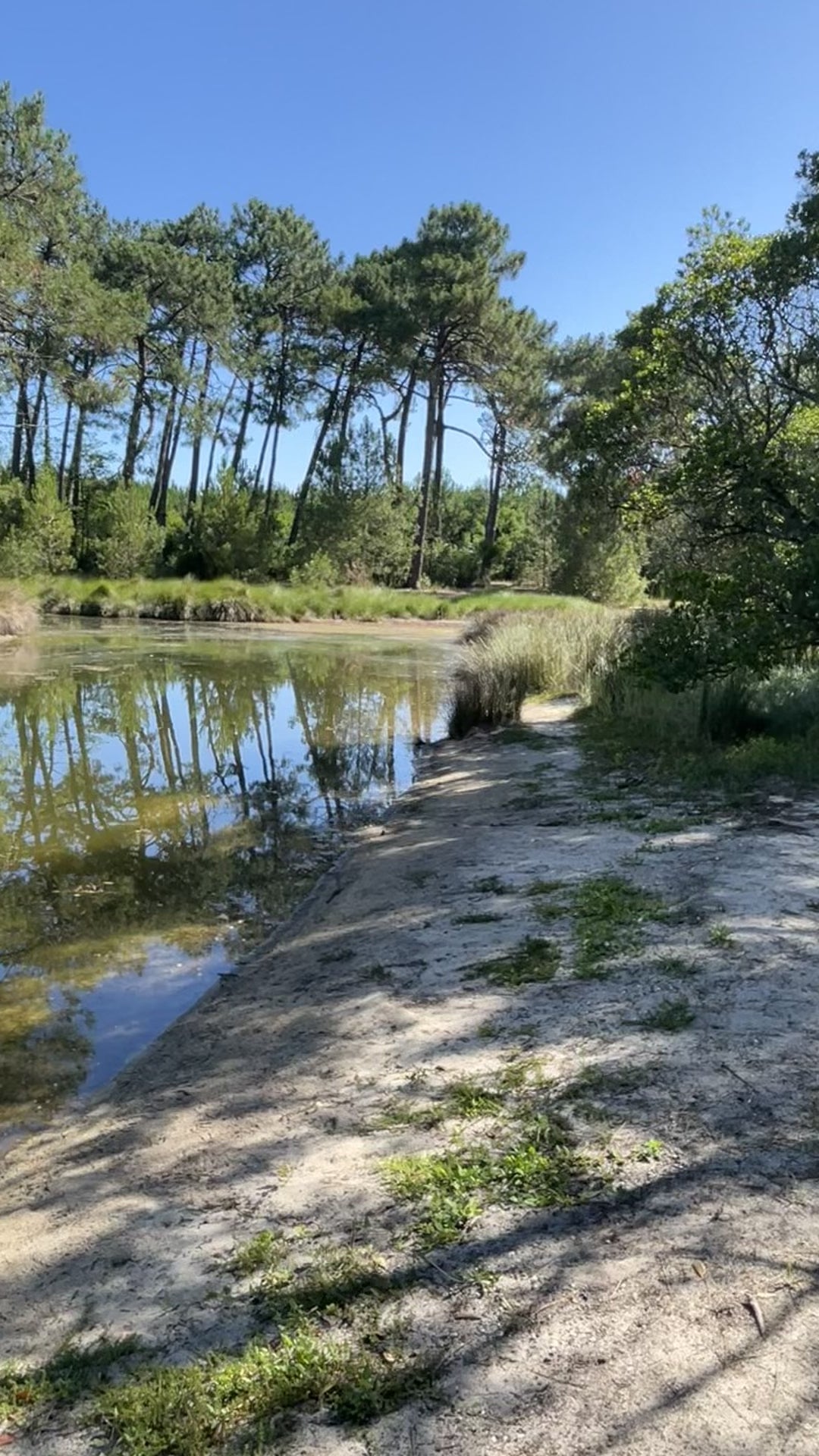 Le chariot de Camille